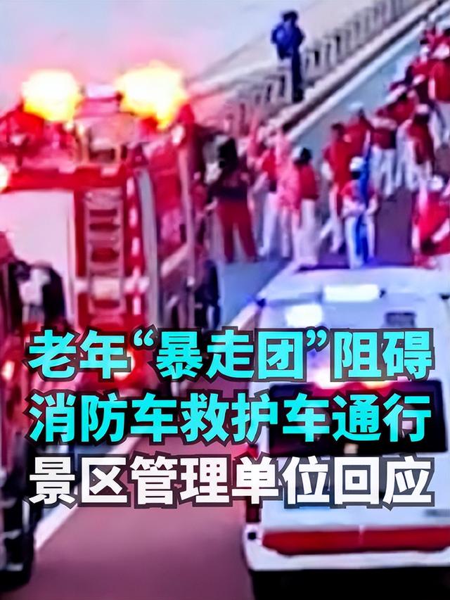 央媒怒批！领队拒认错，真实目的被扒，群里的聊天记录让网友炸锅