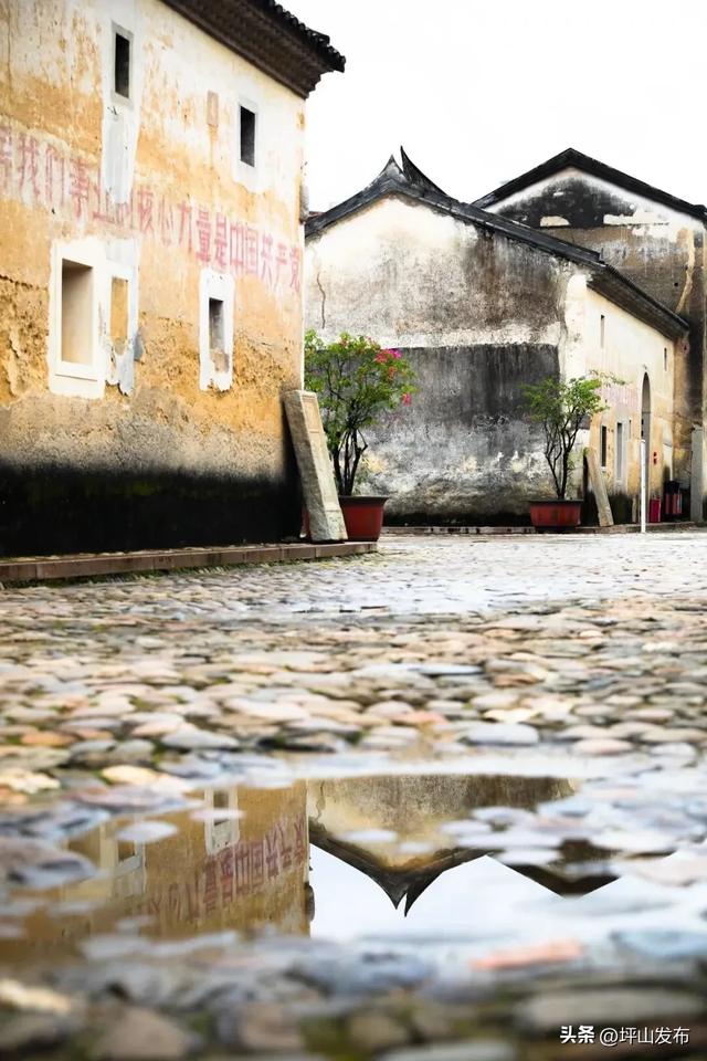 骑遇坪山① | 宝藏“高颜值”骑行线，拍出森系大片刷爆朋友圈