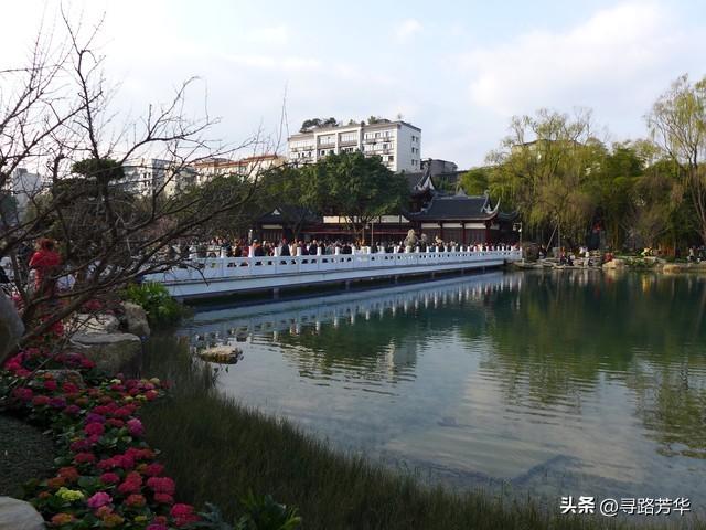 南充行：从枯黄到碧绿的十二小时