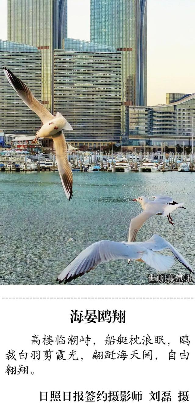 超美超治愈！日照这些大片你看过吗？