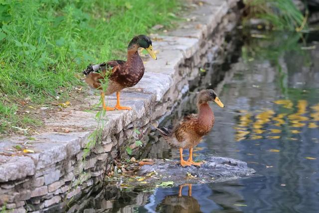 沿着7号线逛东城,解锁藏在一蔬一饭、一步一景里的“小确幸”→