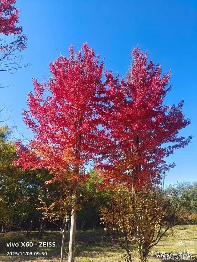 青岛即墨马山寻趣:一座地质公园的秋日私语|申艳娟