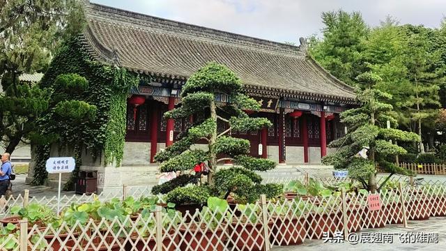 《乙巳盛夏游大雁塔》