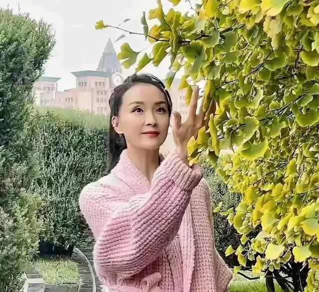 王艳太有钱了,穿睡衣在自家花园散步,背后就是紫禁城!