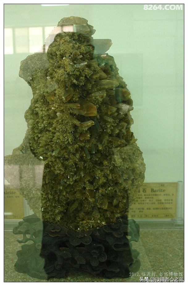 山东行游影记（31）—平邑天宇自然博物馆（六）