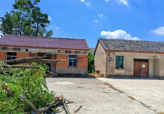 释永信倒台后，老乡才敢说实话，当年他想两三万一户买下整个村