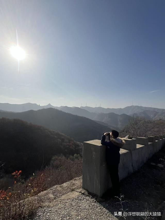 游赏过九鼎山后，我又跑到一户院里“强买”了大爷种在路边的白菜