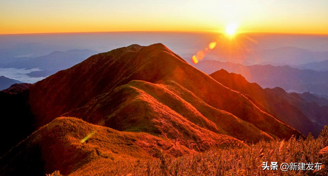 闯入罗霄之巅的绿色秘境