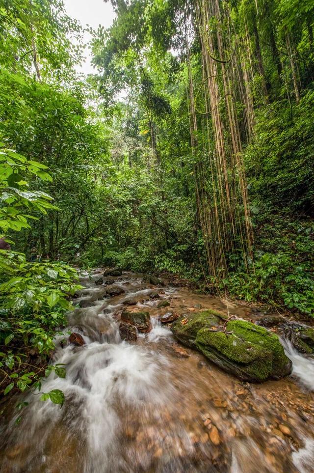 云南最美最经典的自驾线，1600公里跨越6州市，一路风光一路惊喜