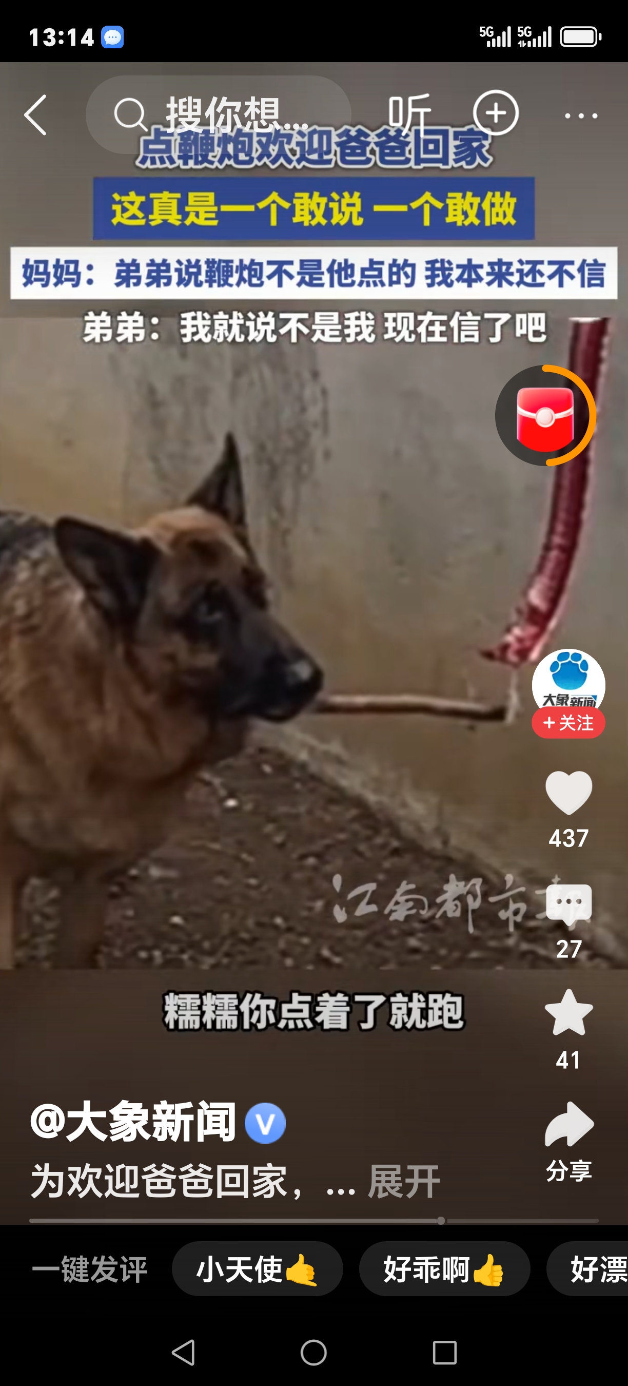 弟弟“神操作”!忽悠狗狗点鞭炮欢迎爸爸回家