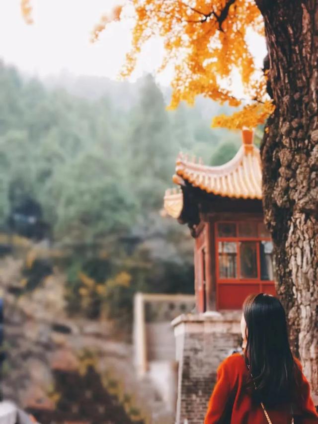 比苏州更江南，小吃堪称一绝，这座低调的北方水城，一到秋天就美翻了