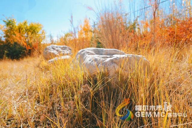收藏！格尔木秋日美景，这份视觉盛宴千万别错过