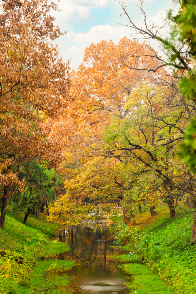 用四时好景打开曲阜三孔景区，留存每一帧中式浪漫！