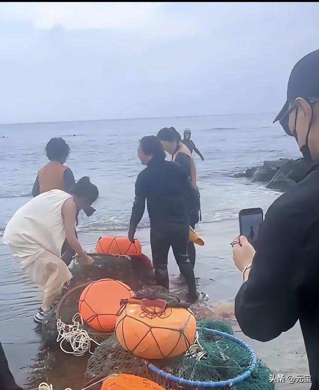 54岁汪峰陪35岁森林北去济州岛玩 森林北帮运海螺