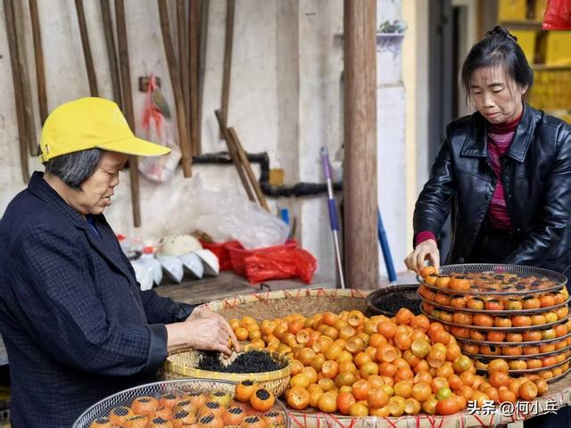 单祖英：从宜兴到澄迈，战友相伴的暖冬南行记