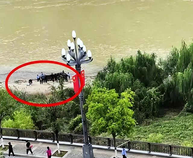 真相大白！新郎跳河身亡破案？走之前留下一句话成关键 女方忙喊冤