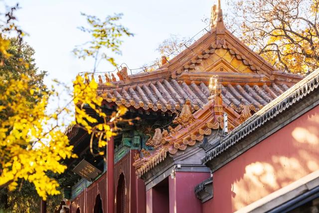 收藏一个秋天,石景山绝美秋色大公开