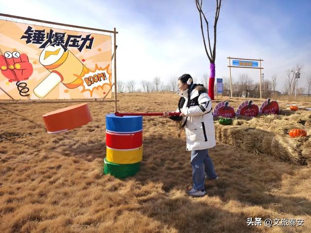开年遛娃首选！东平湖流浪水世界暖冬亲子奇遇季，全家欢乐新去处！