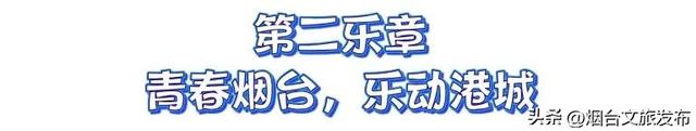 【乐享烟台】2025烟台国际海岸生活季街边音乐会｜音乐不停转场 山海同频欢唱｜四天五场 玩转烟台