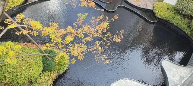 寻美薛城丨这里风景独好！美景尽收眼底，凭“颜值”出圈的社区美景！