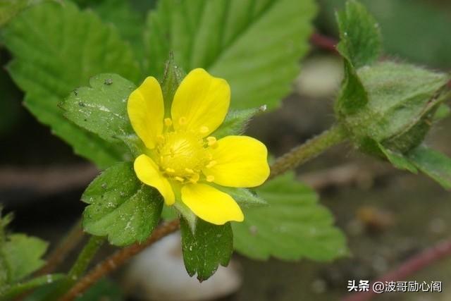 属蛇人：这辈子最大的靠山，不是钱，不是权，而是这6大法宝