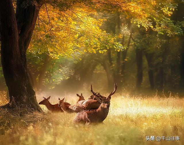 独行二十载：真正的骑行，是“全副武装”的孤勇与虔诚