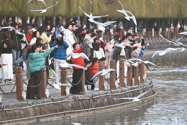追着候鸟到汉中