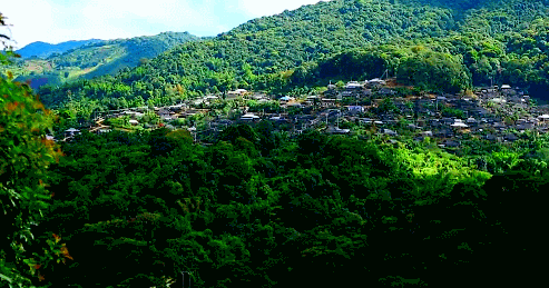 三亚地位不保？东北人悄悄换目的地，一去西双版纳就不想回来了