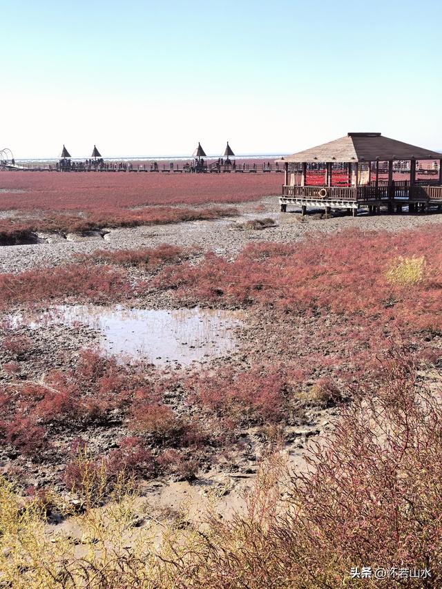 2025辽宁赏秋之旅日记(5)——从本溪前往盘锦 游览红海滩景观
