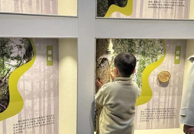 呼伦贝尔自然博物馆参观热度持续攀升