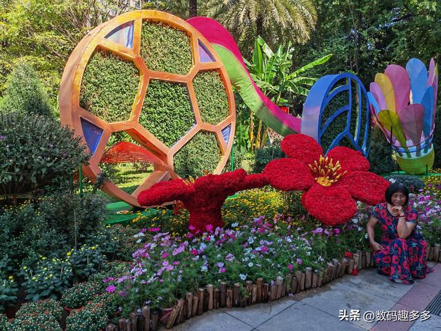 广州66届羊城菊花展，快来看打卡攻略