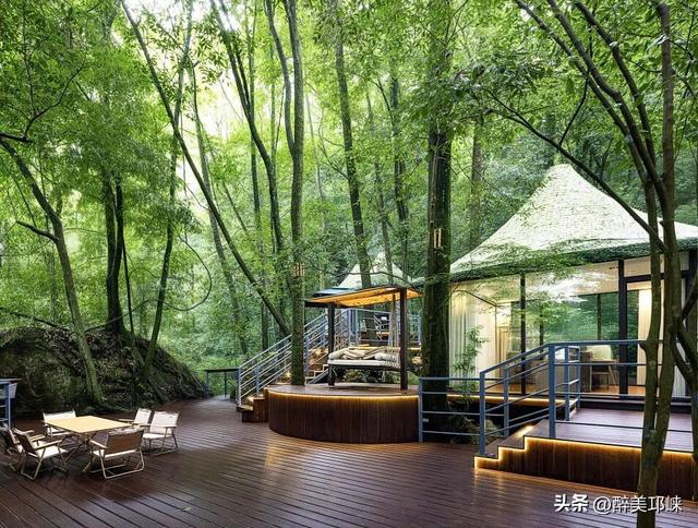 100个美梦丨在天台山云雾深处，藏着一处会呼吸的苔藓秘境