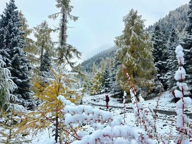 甲依拉措 ：一场白雪与彩林的盛宴