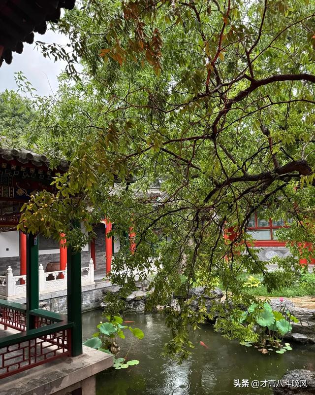 李湘在平台晒自家北京小院，大到让网友以为是景区，真的太有钱了