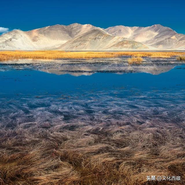 去过的都说难以忘怀！西藏阿里中北线，有生之年至少要去一次！