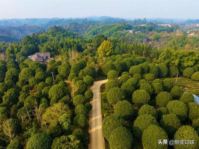 聆听邛崃丨徒步邛崃,与山水相逢