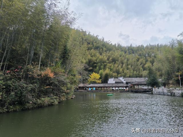 黟县著名景点，电影卧虎藏龙的拍摄地-木坑竹海
