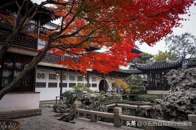 苏州秋季赏秋全攻略！9 大秘境从园林到山野，红枫银杏拍不停