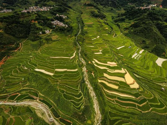 探索三猛逸境丨梯田茶旅打卡活动开启，邀您共赴绿春秘境！