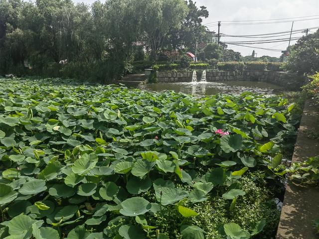 游逛塘栖丁山湖景区