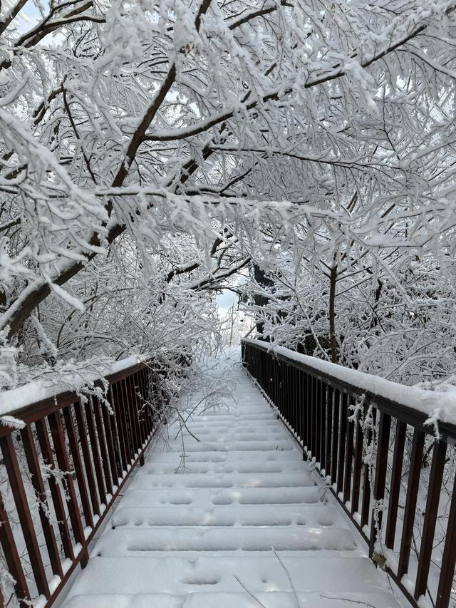 首遇云台山的雪凇美景