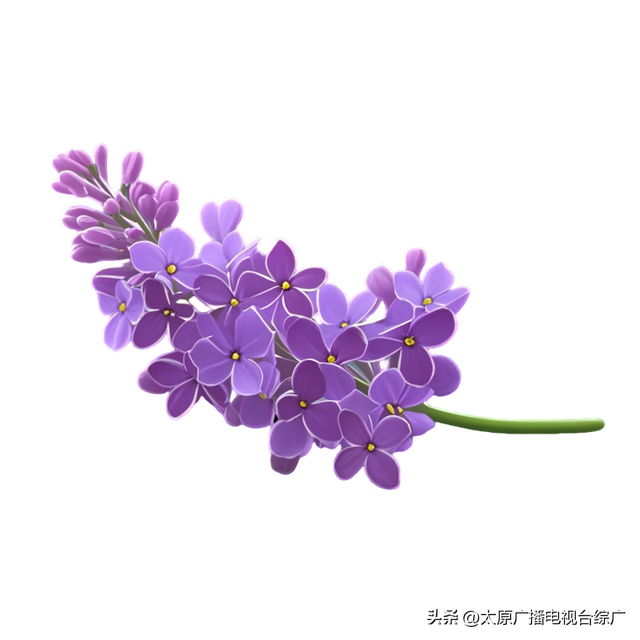 山西大学大同校区官方网站正式上线！