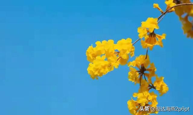 当年计划生育是谁提出来的?你万万想不到