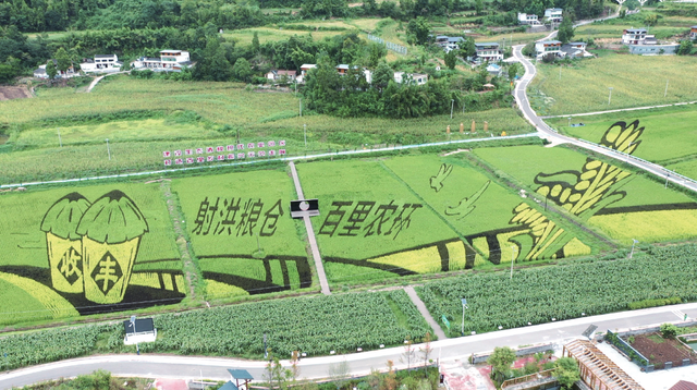 四川省射洪市历史沿革及行政区划