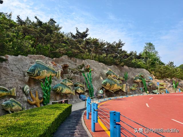 大连海之韵公园·棒槌岛
