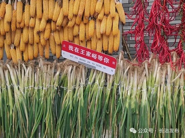 以“晒”为媒！武乡红色热土在金秋焕发新生