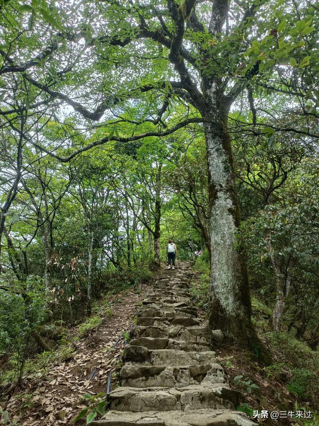无为在歧路，贵州六日行（15）～梵净山
