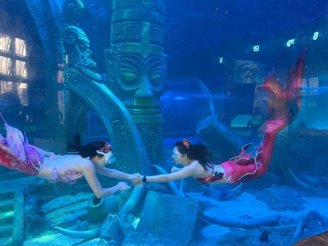 全国首个！成都熊猫海洋公园3月18日试营业