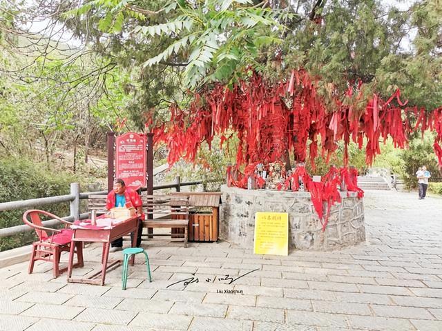 河南这座寺庙太 “委屈”？曾经与少林寺齐名，如今却游客寥寥？