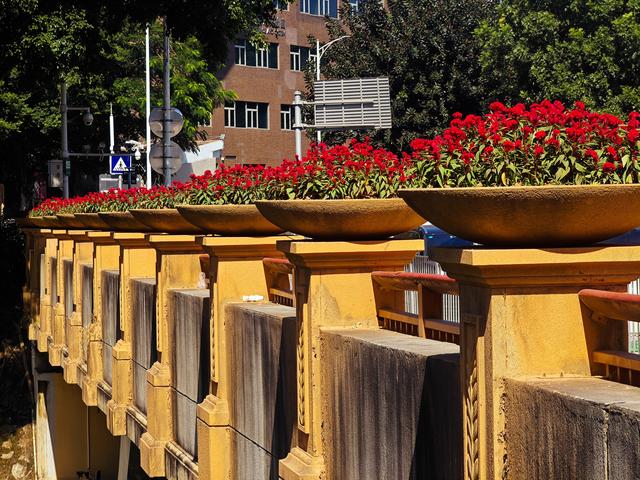 从学苑大道入大沙河绿过大学城后进深圳弯公园流花山景点【高清】